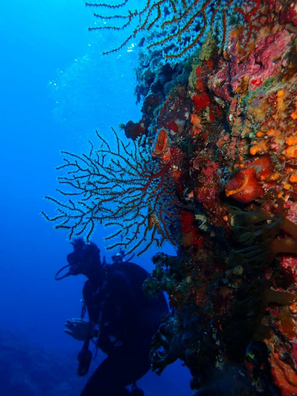 Qing Feng Diving B&B Lyudao Exterior foto